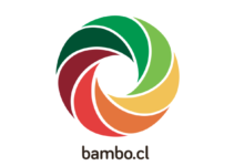 Logo Bambo